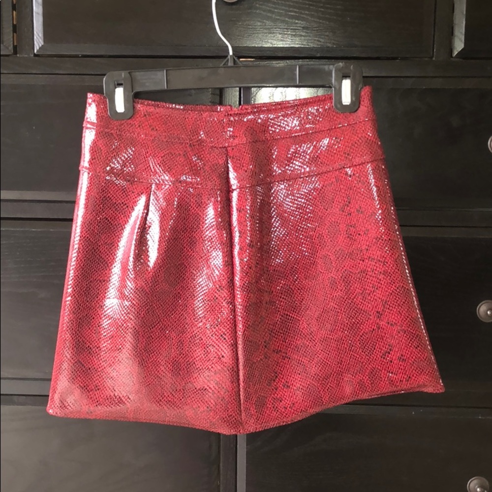 Red Snakeskin Skirt